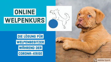 Online Welpenkurs